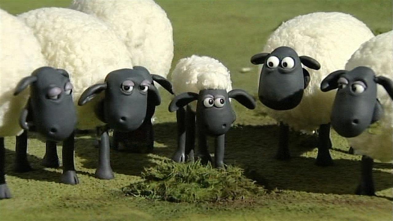 Shaun the Sheep - Season 1 Episode 8 : Take Away