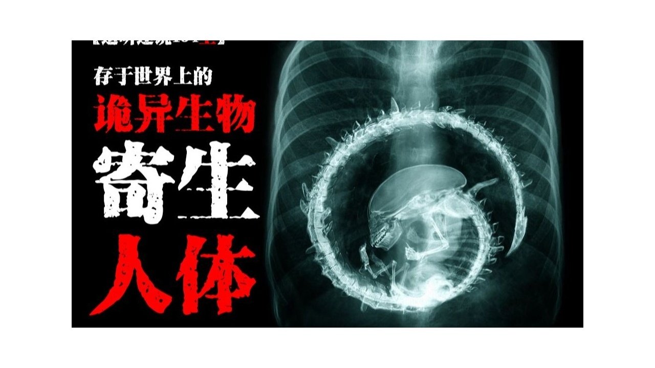 道听途说 - Season 1 Episode 242 : Episode 242