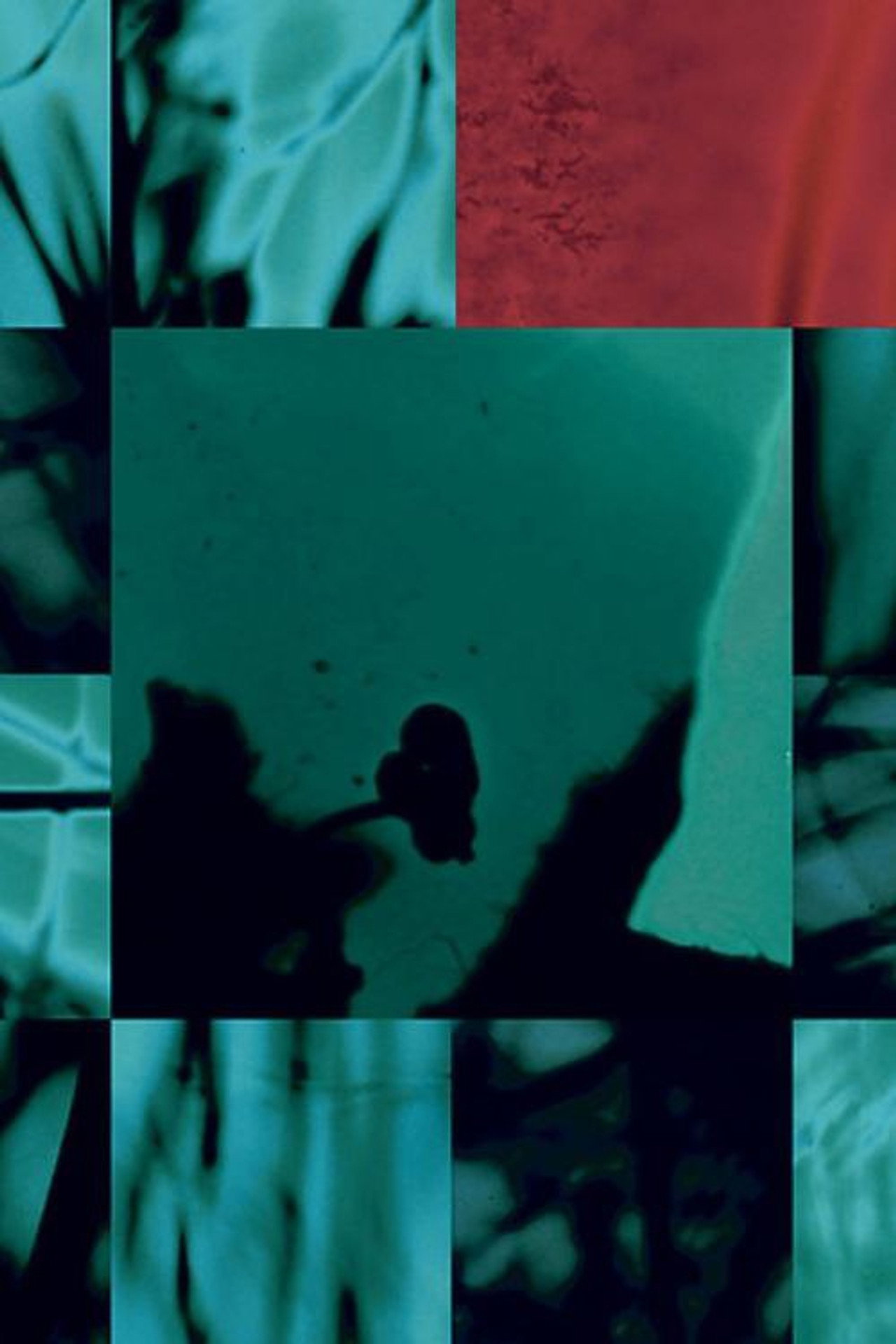 Disorient