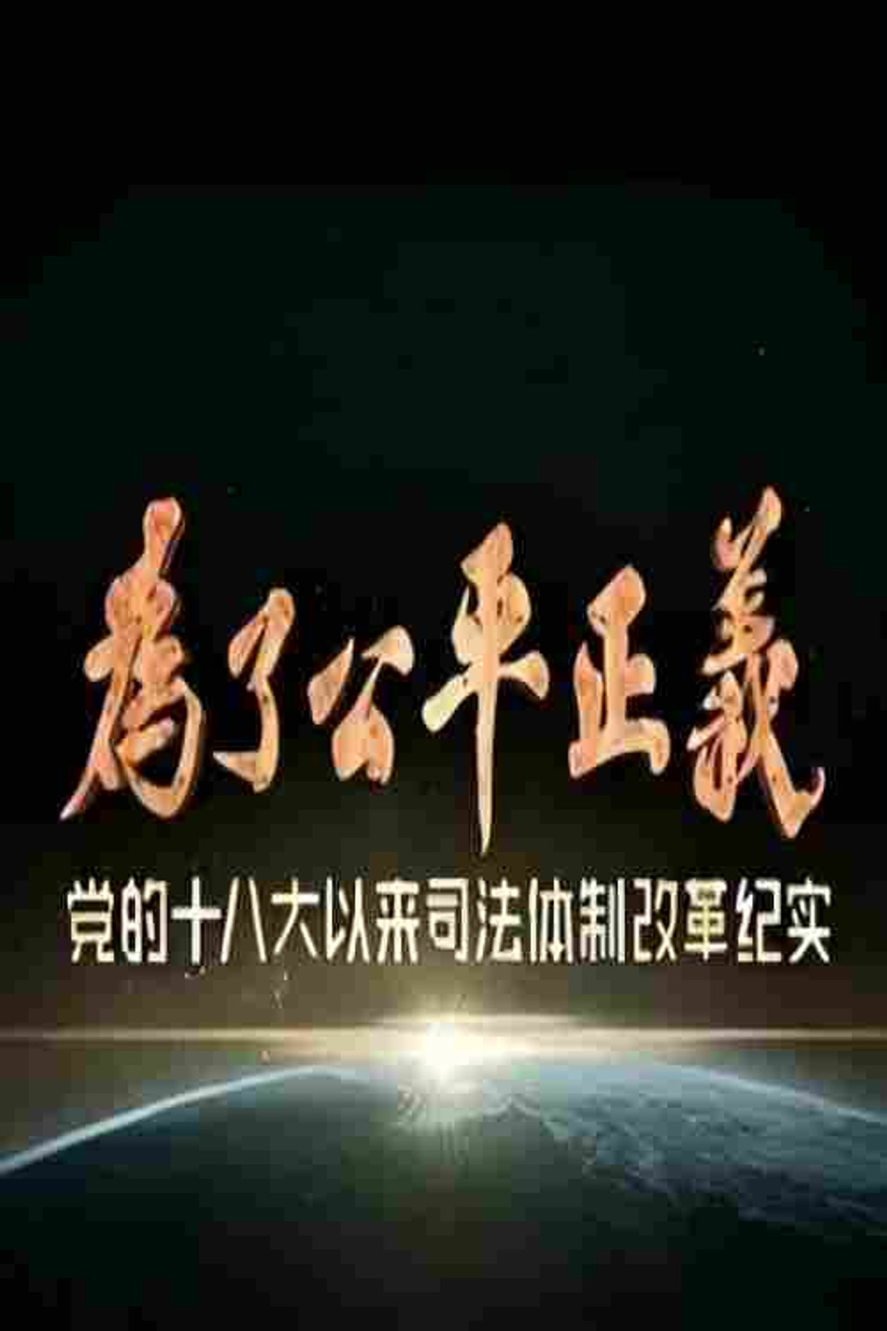为了公平正义剧照