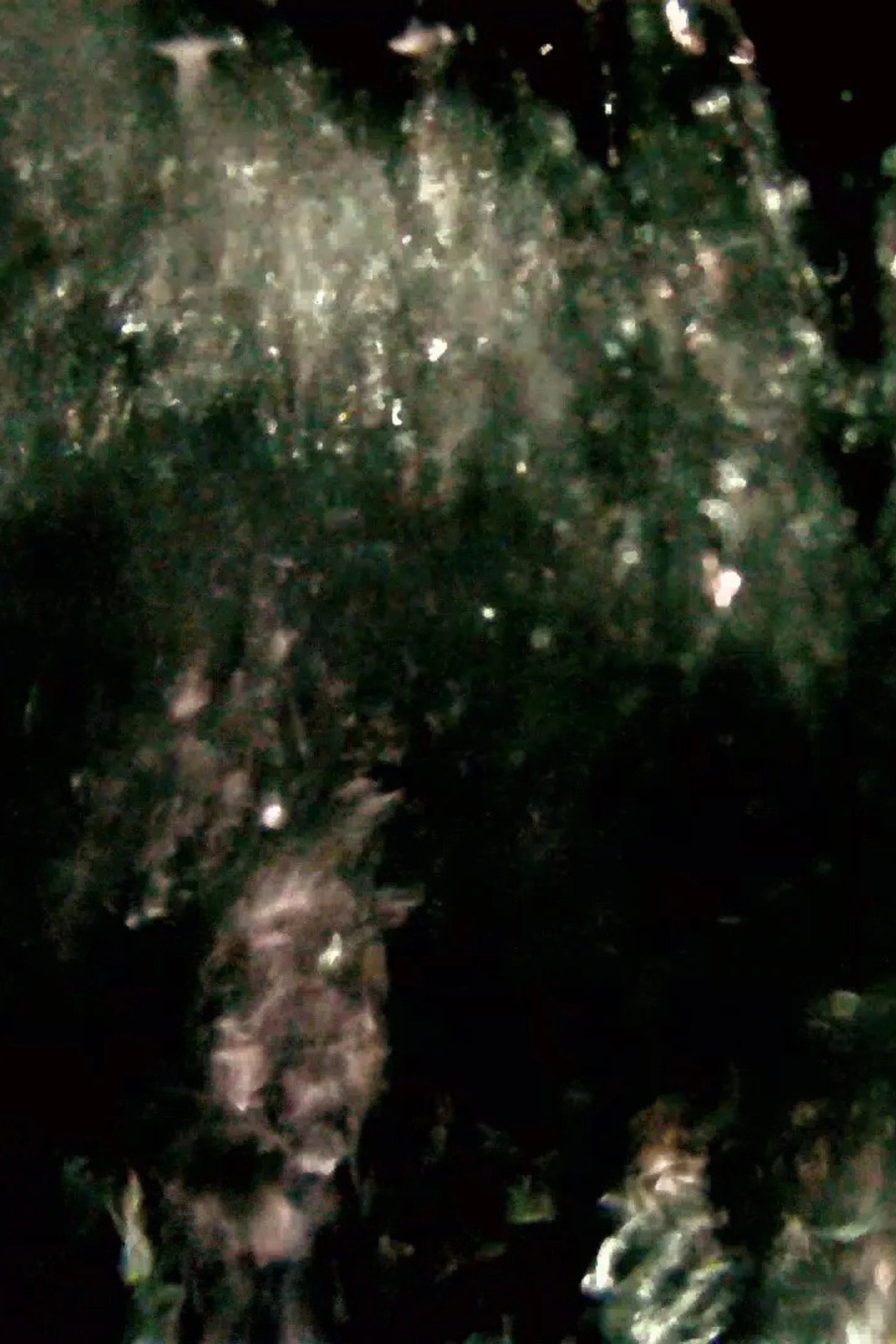 He Maketh a Path to Shine After Him; One Would Think the Deep to Be Hoary filmaffisch