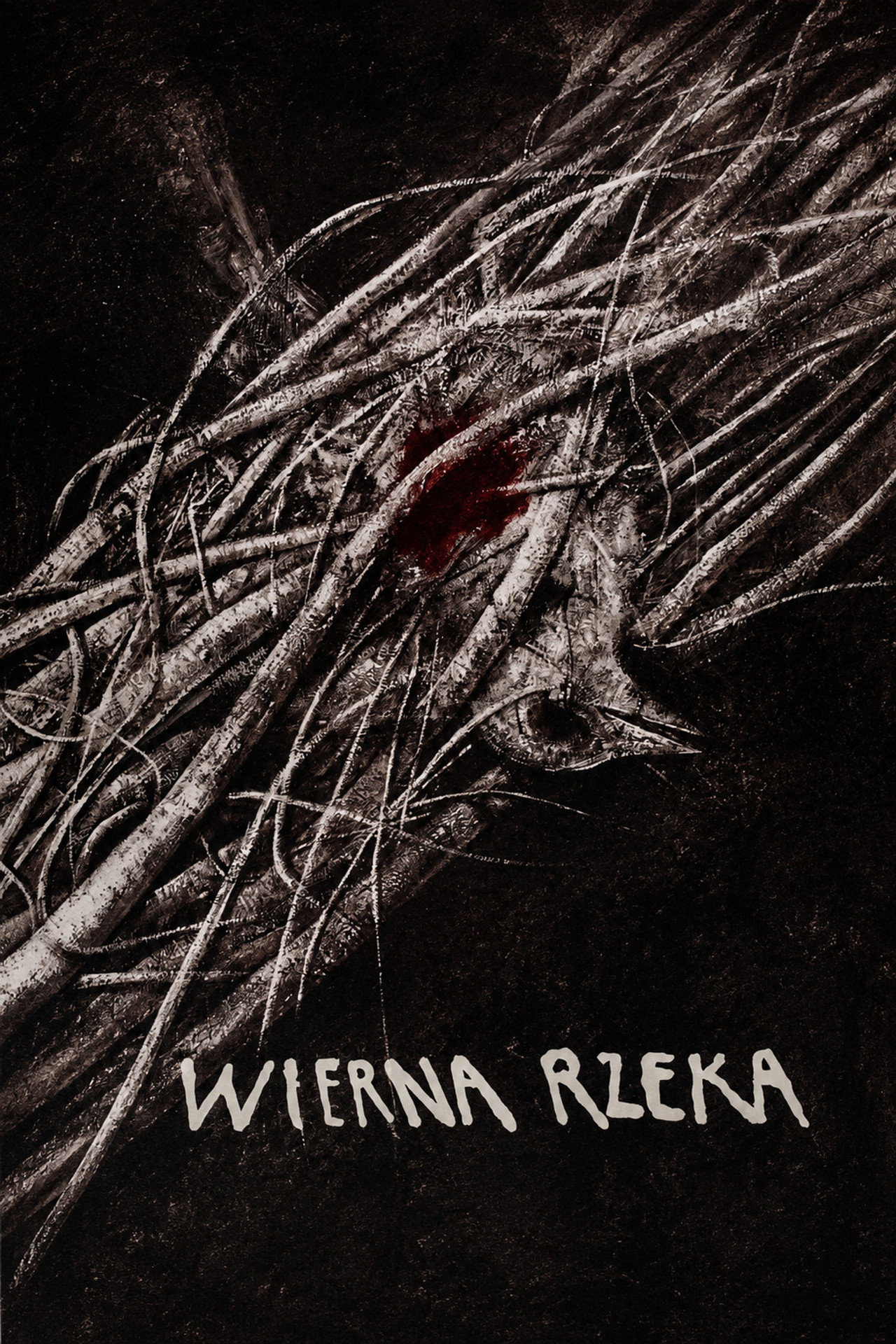 Wierna rzeka filmaffisch