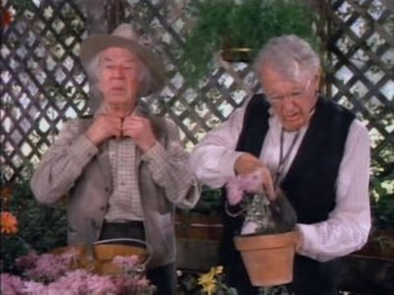 Little House on the Prairie - Season 9 Episode 12 : Marvin's Garden