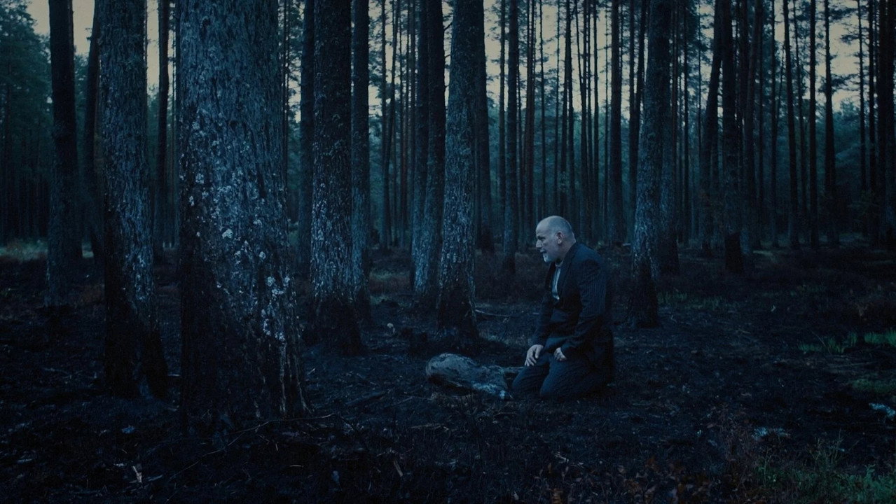 Immagine di copertina del trailer di The End