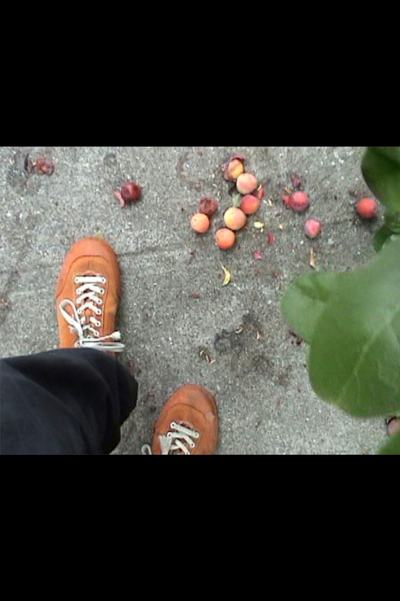 The Hairy Horror Backdrop