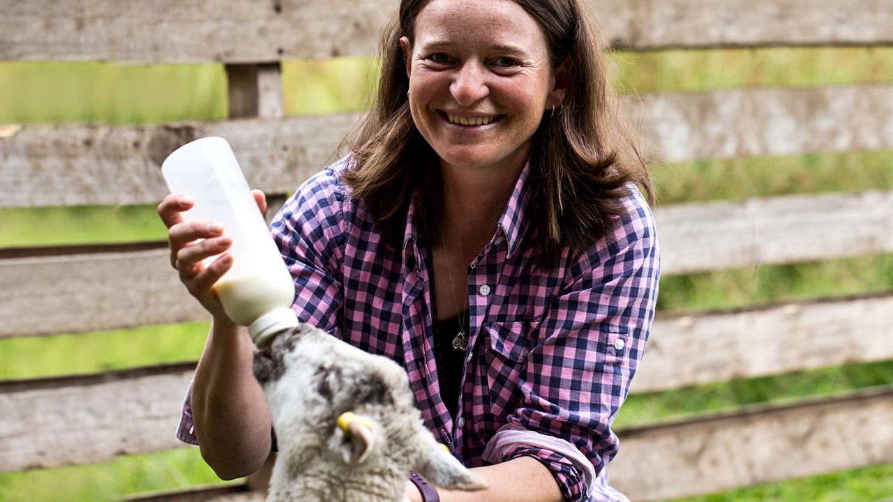 This Farming Life — Épisode 3