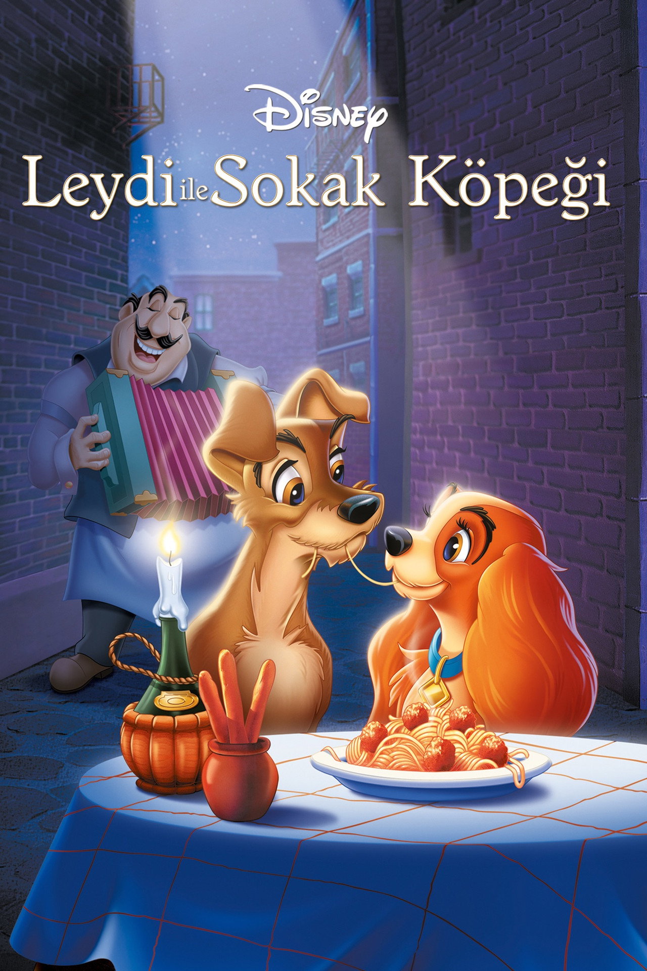 Leydi ile Sokak Köpeği Poster