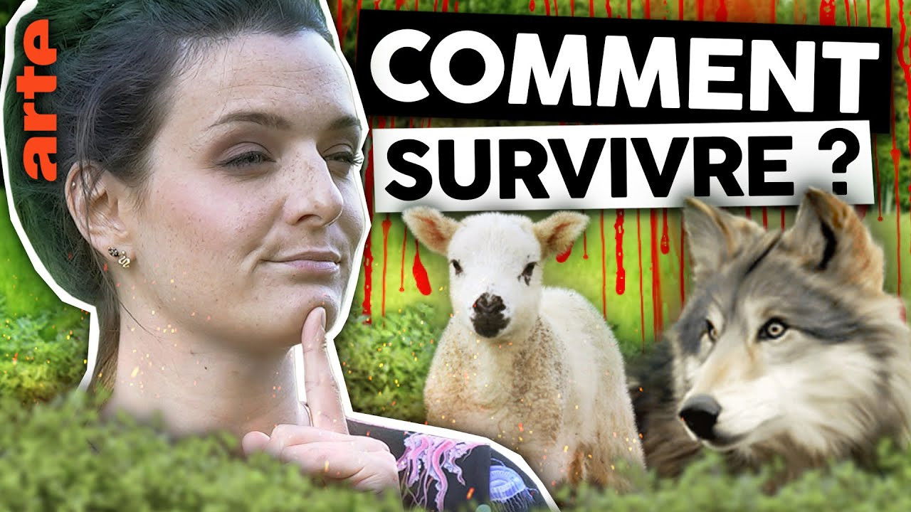 Le Vortex — Qui a la meilleure stratégie de groupe ?