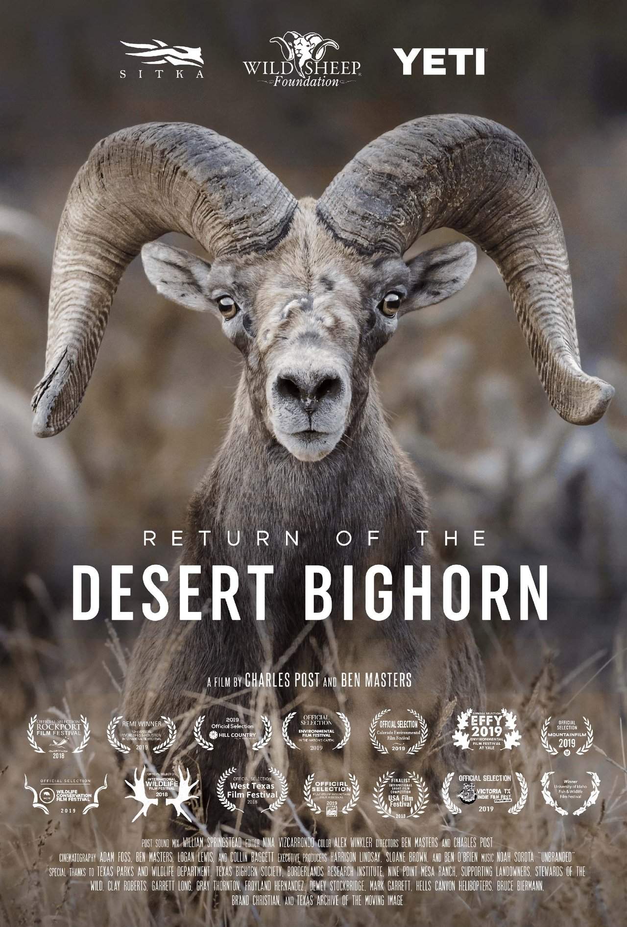 Return of the Desert Bighorn Return of the Desert Bighorn
