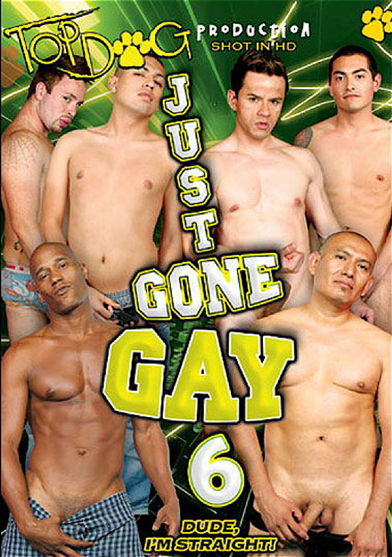 Just Gone Gay 6 filmaffisch