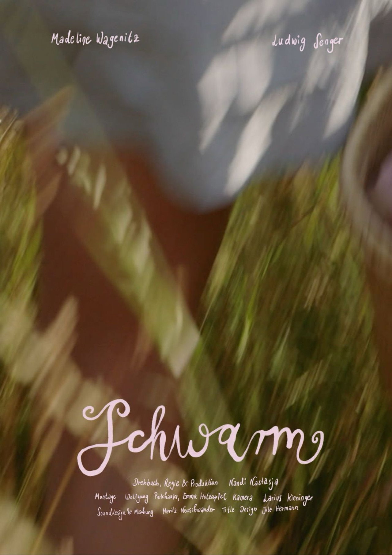 Schwarm filmaffisch