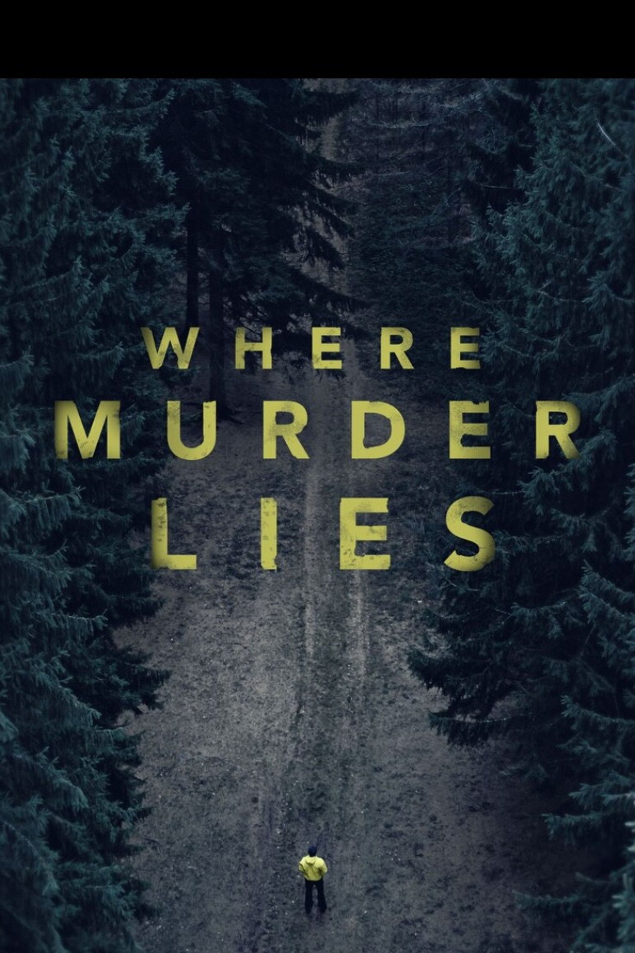 Where Murder Lies poster