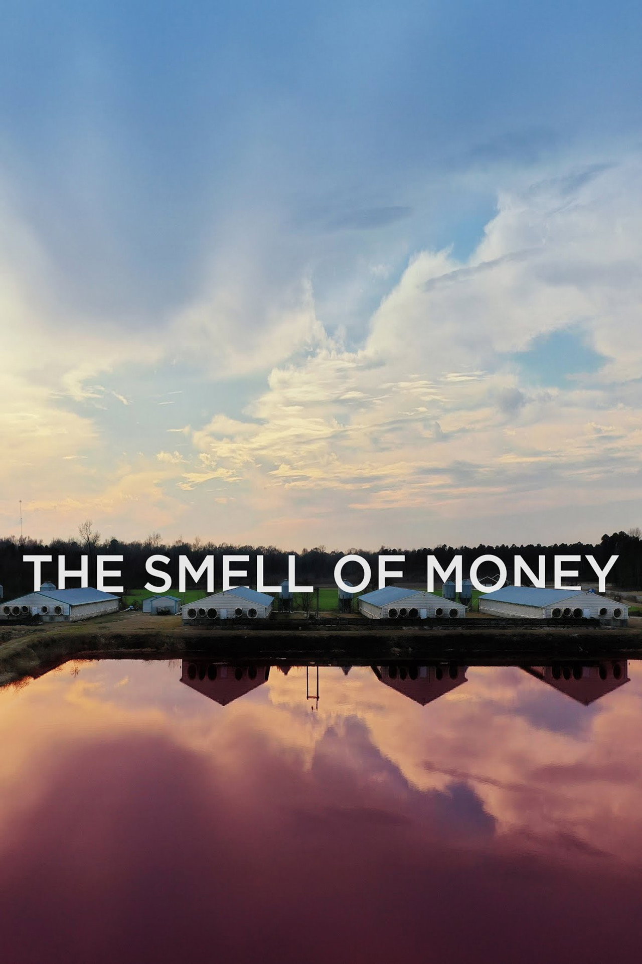 The Smell of Money filmaffisch