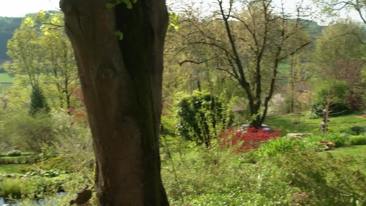 Natur im Garten - Season 25 Episode 1 : Episode 1