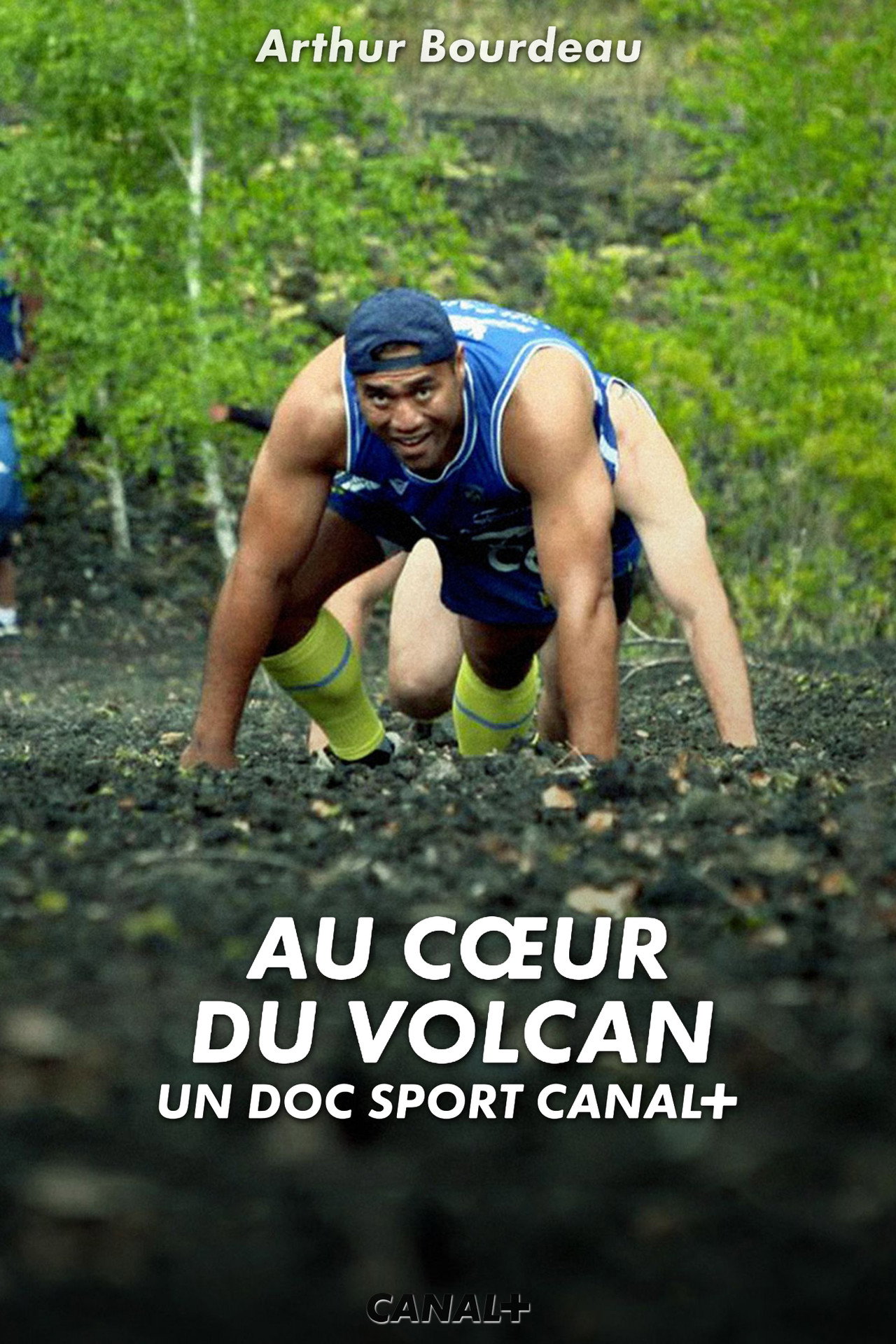 Au cœur du volcan poster
