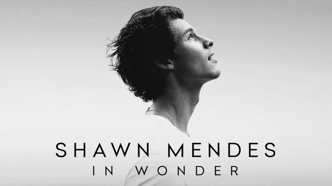 Shawn Mendes: In Wonder background