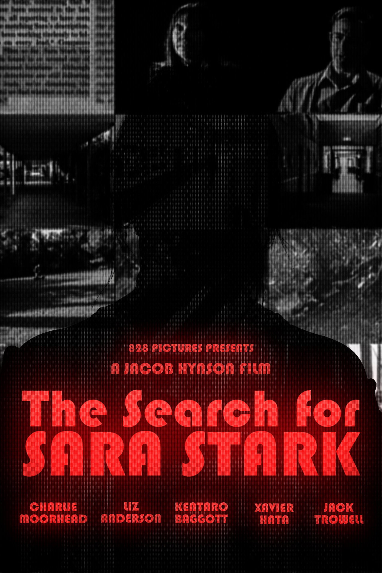 The Search for Sara Stark