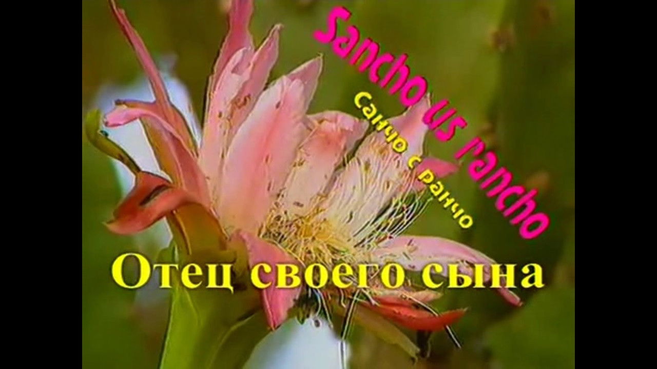 Санчо с ранчо — Épisode 6