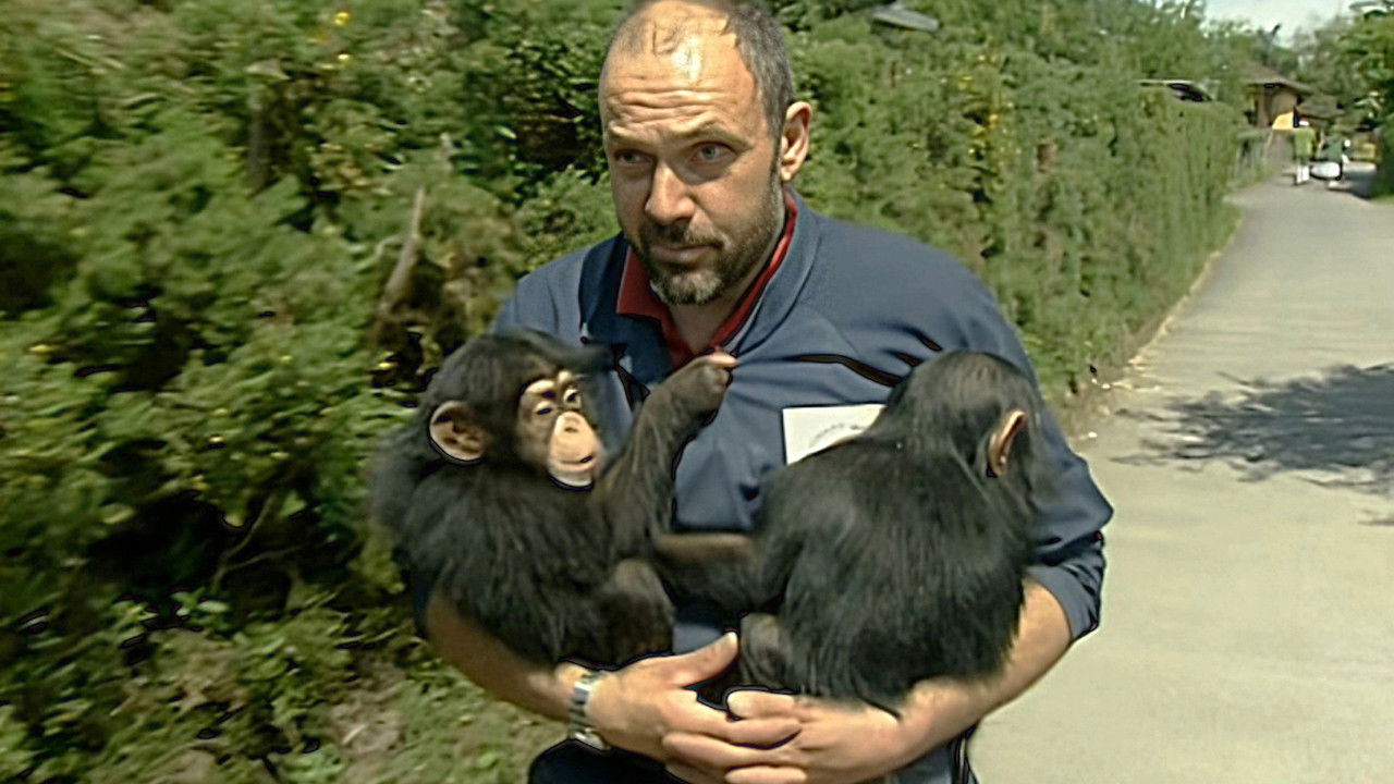 Monkey Business — Épisode 7