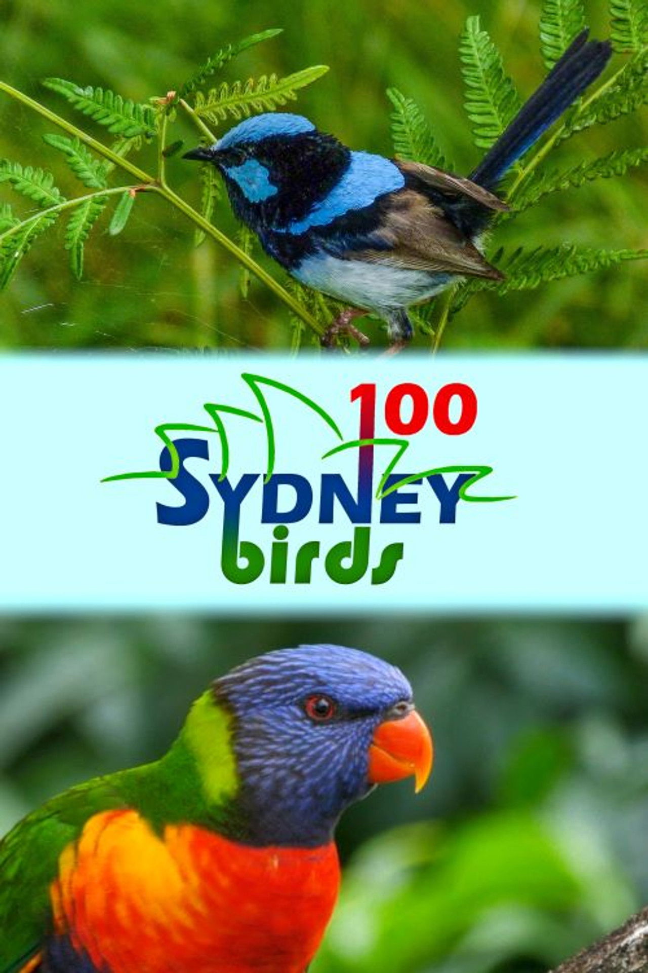 100 Sydney Birds Backdrop