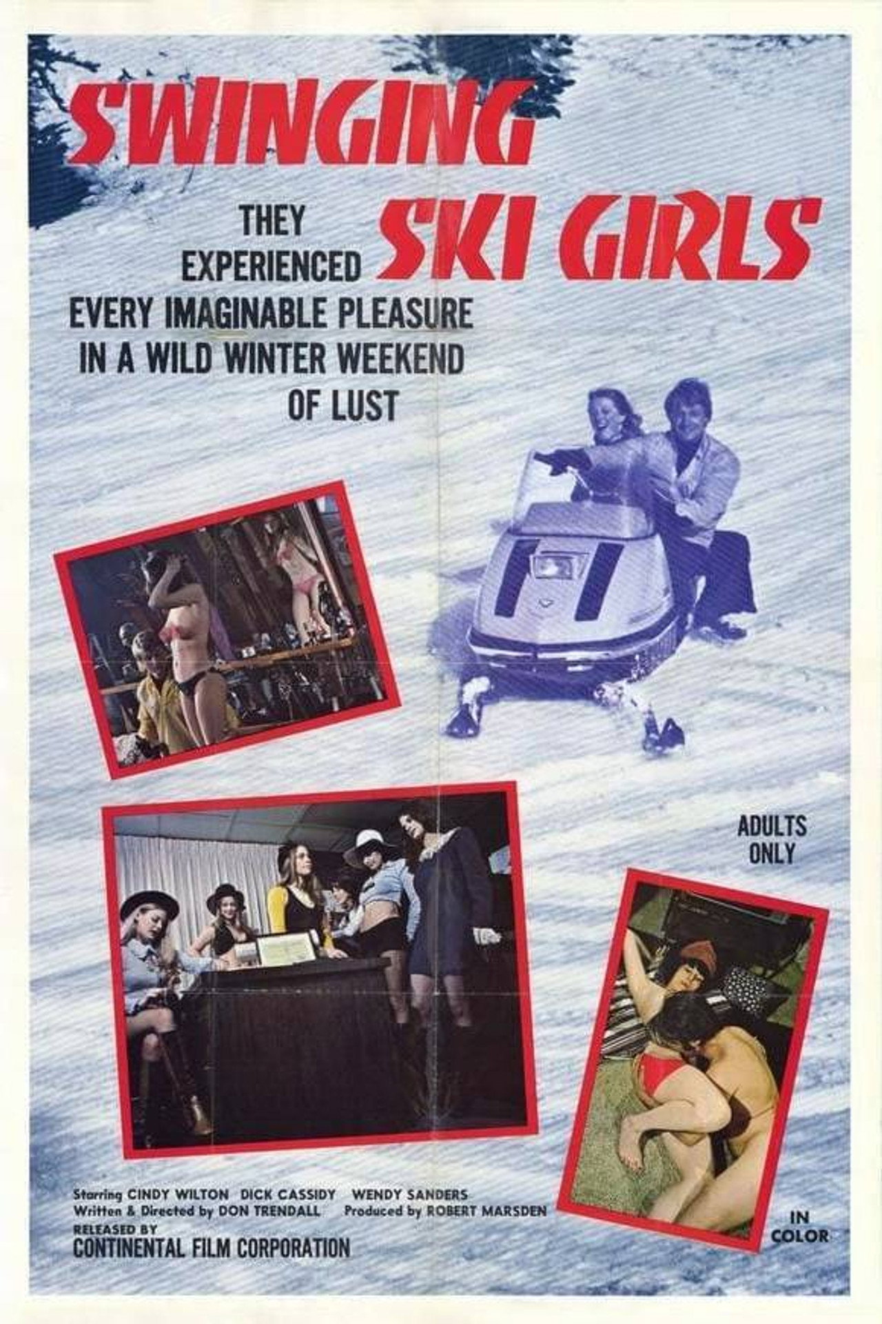 Swinging Ski Girls Backdrop