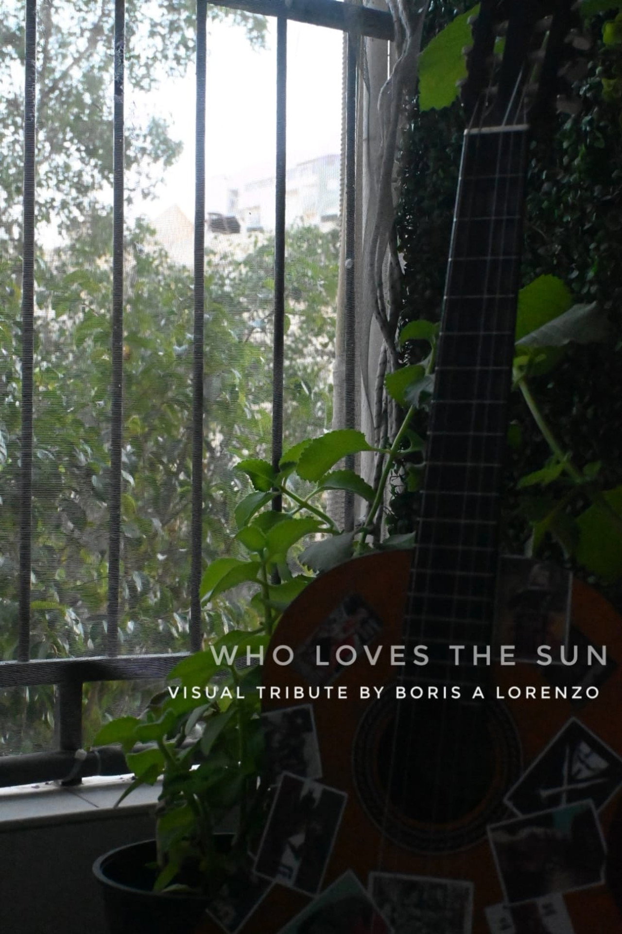 Who Loves The Sun filmaffisch