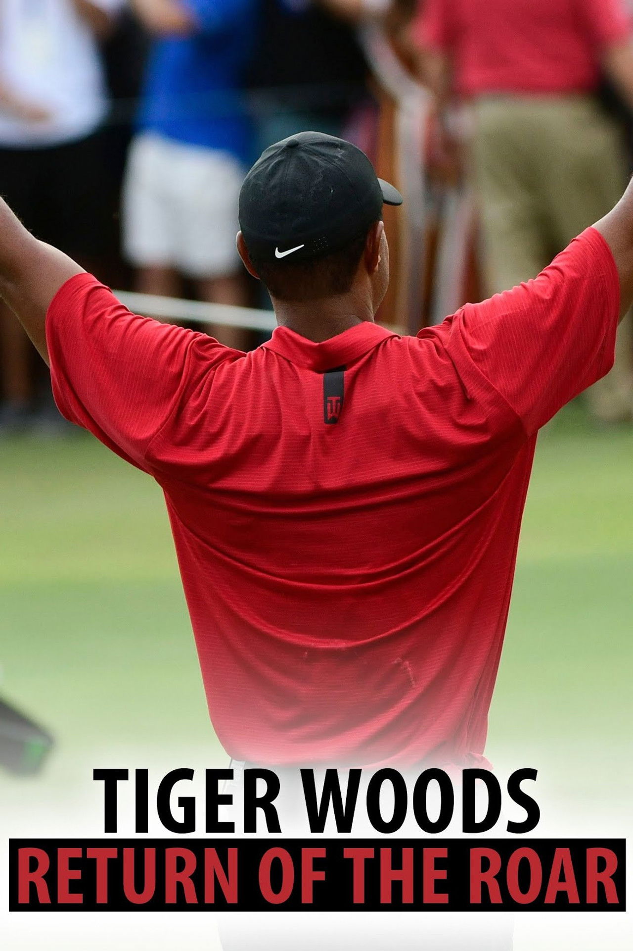 Tiger Woods: Return of the Roar Backdrop