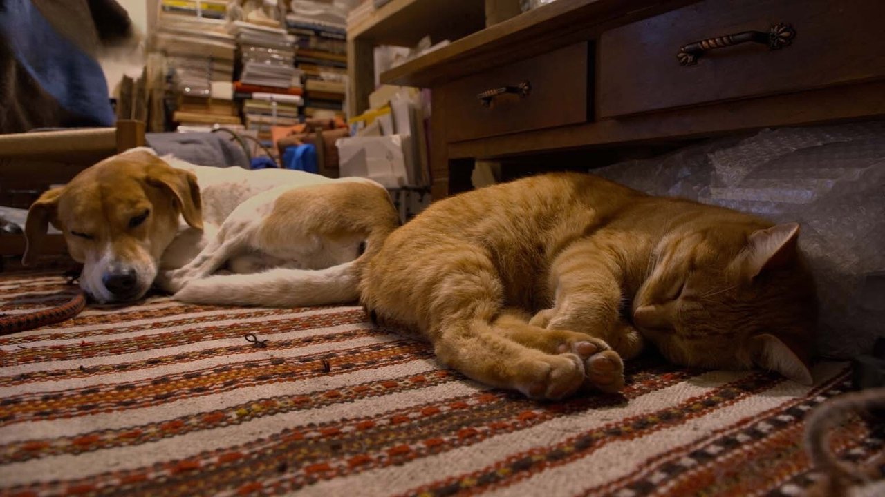 A Cat's-Eye View of Japan - Season 4 Episode 9 : Yamaguchi: Surrounded by Green