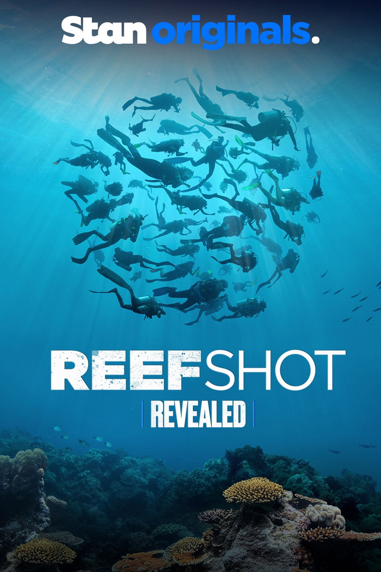 Revealed: Reefshot Backdrop