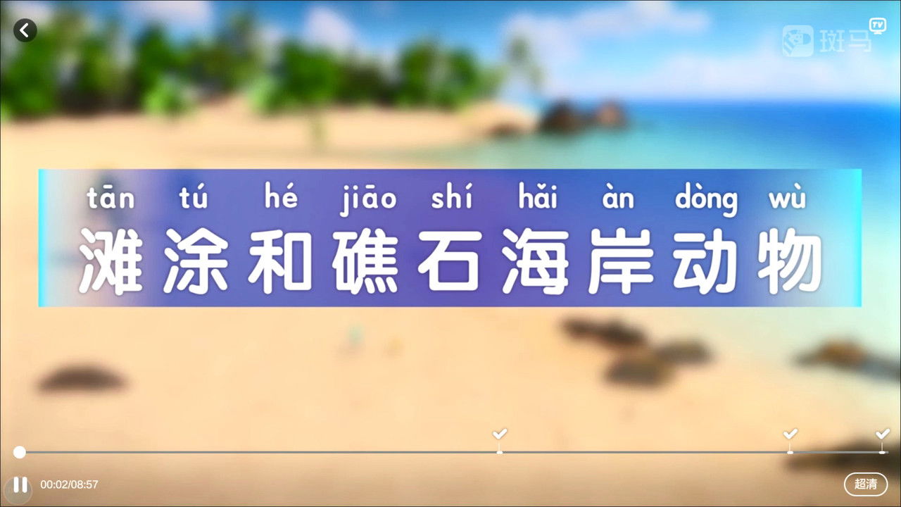 斑马百科 — Épisode 2