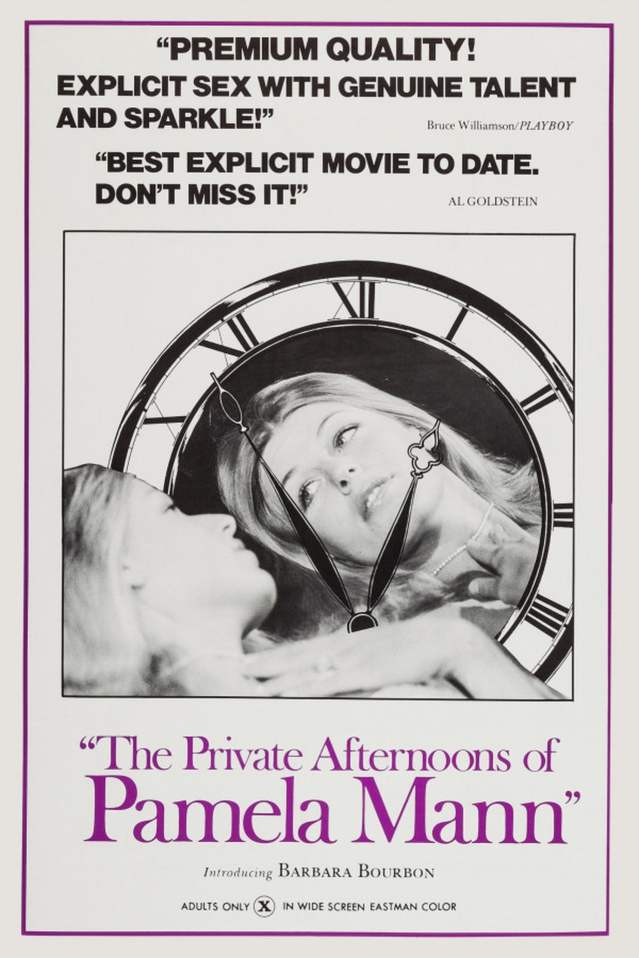 مشاهدة فيلم The Private Afternoons of Pamela Mann مترجم بدون اعلانات - بوستر