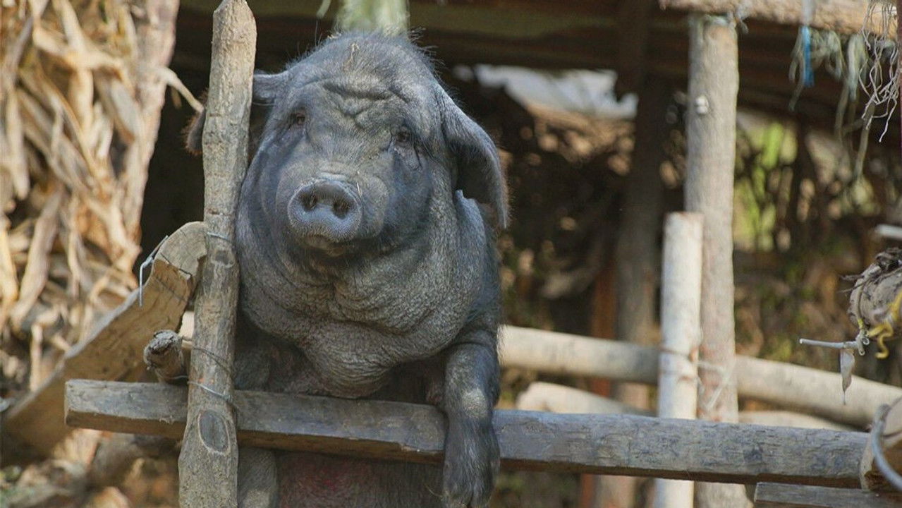 小城夜食记 — Épisode 10