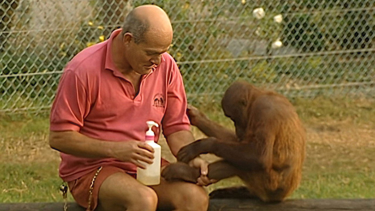 Monkey Business — Épisode 11