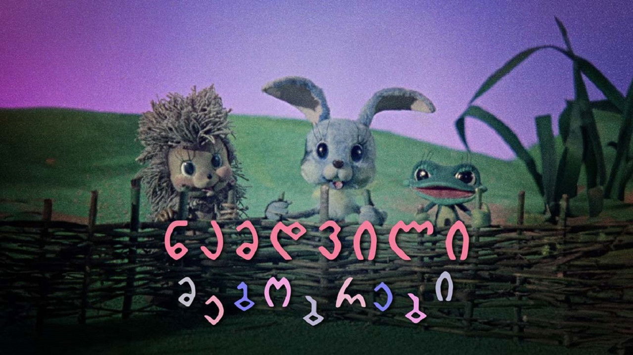 Miq të vërtetë backdrop