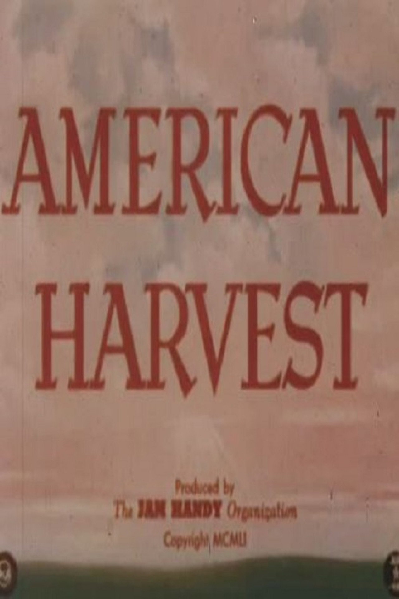 American Harvest Backdrop