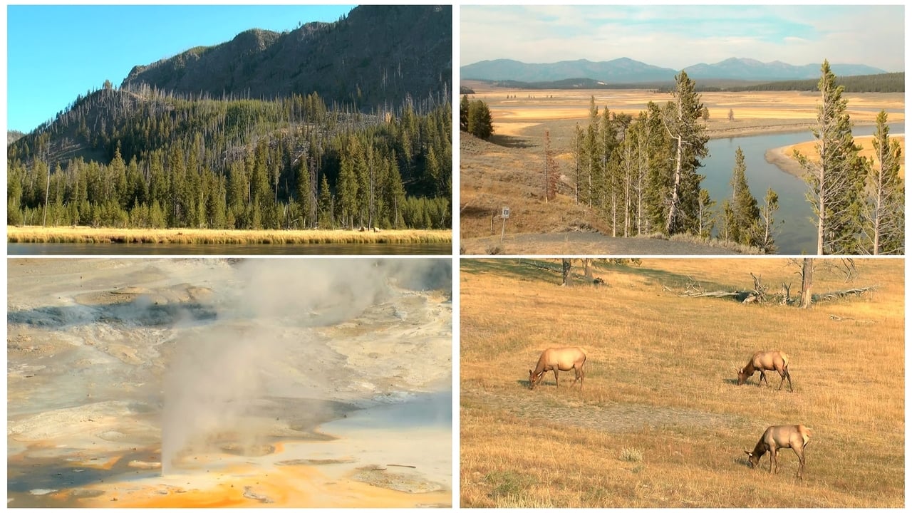 World Natural Heritage USA: Yellowstone National Park background