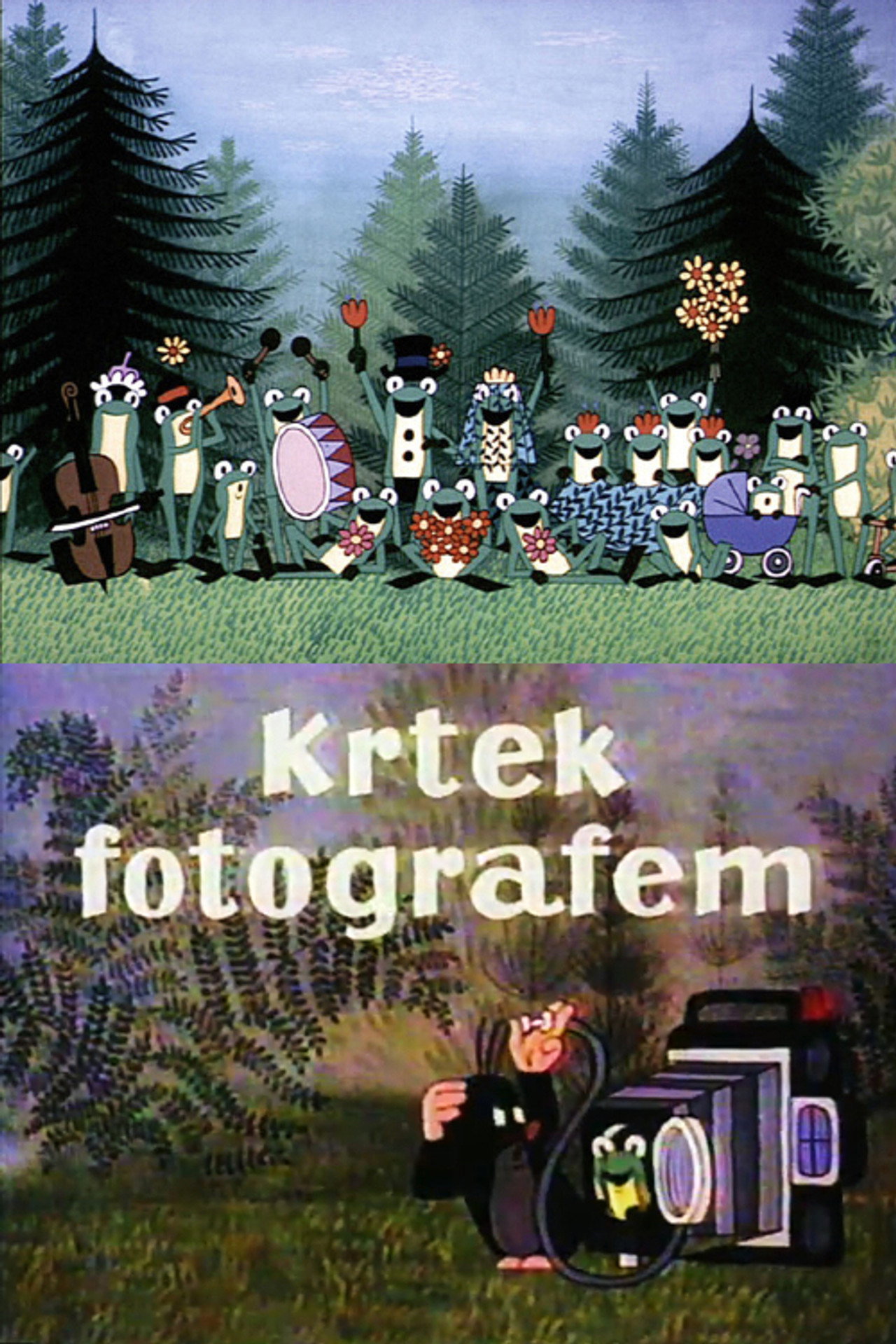 The Mole as the Photographer