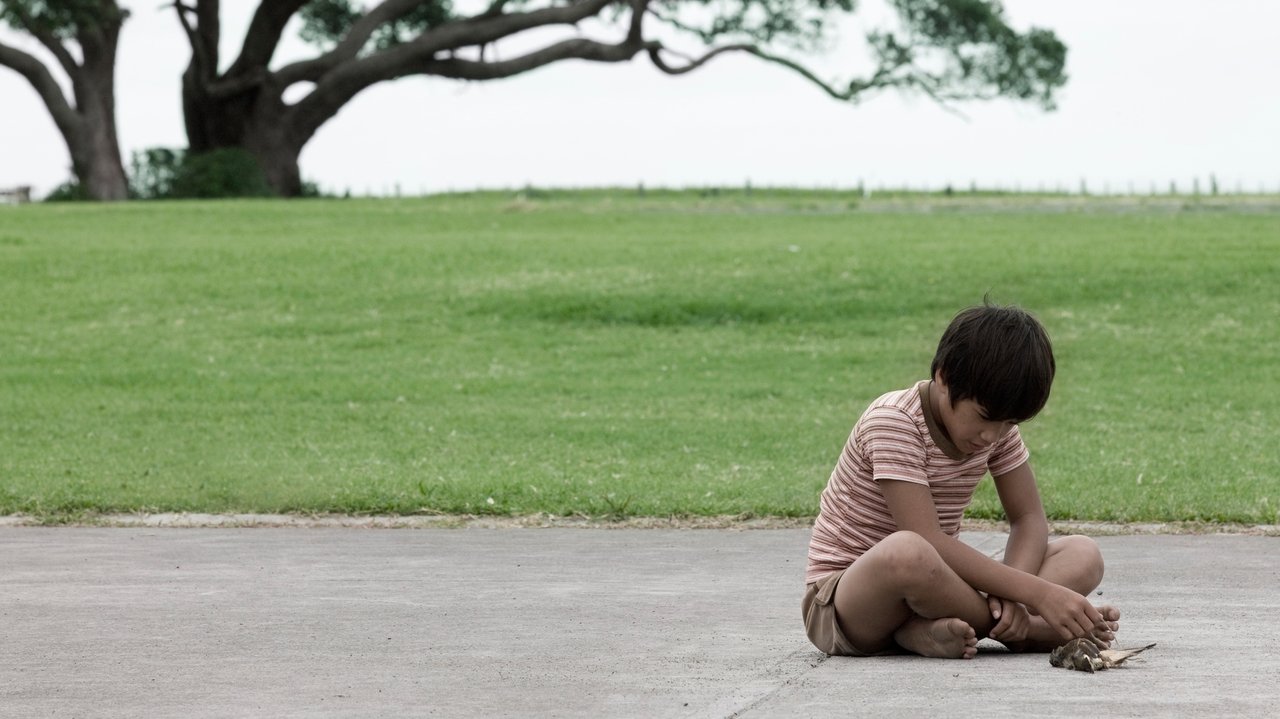 Boy (2010)