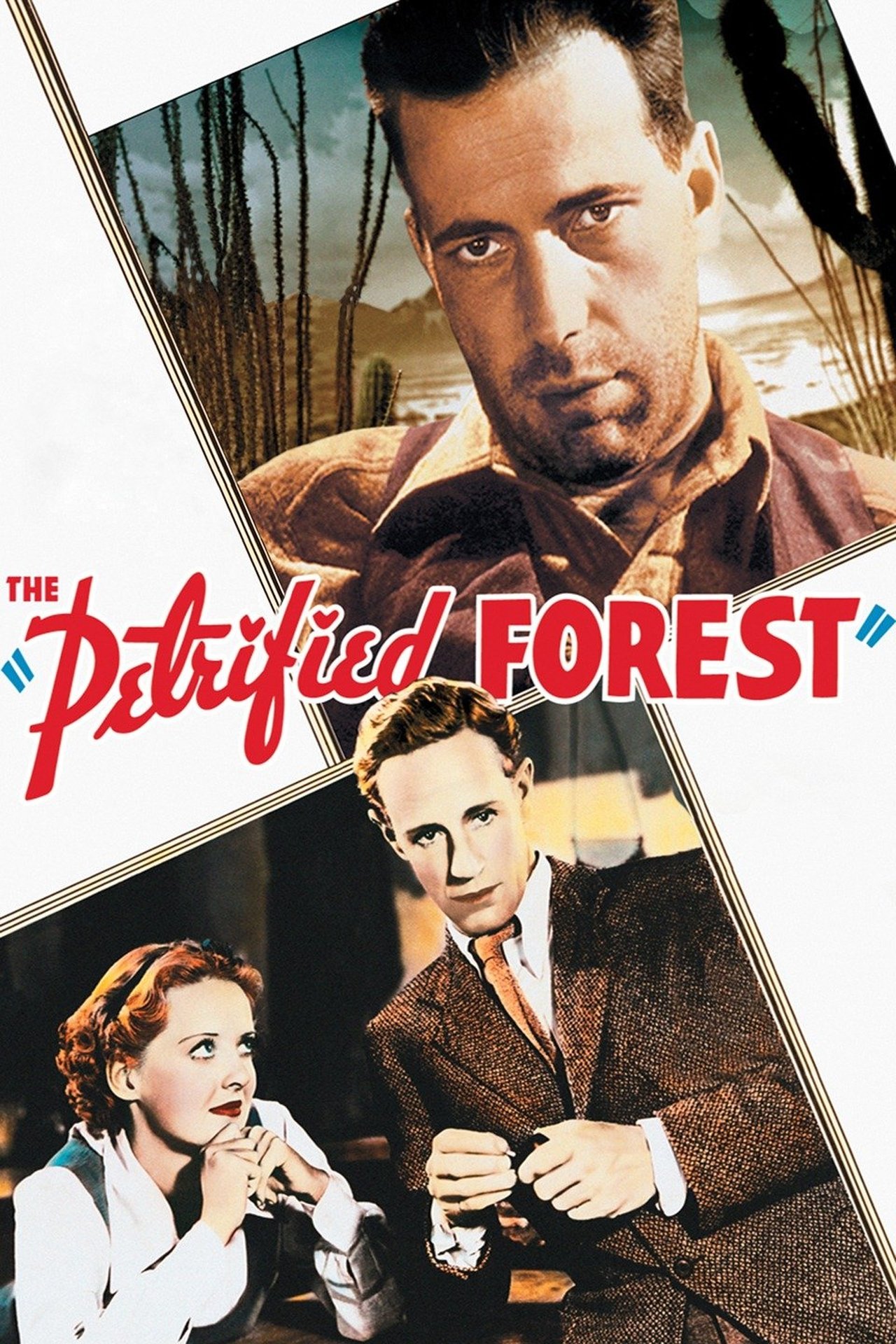 The Petrified Forest: Menace in the Desert The Petrified Forest: Menace in the Desert