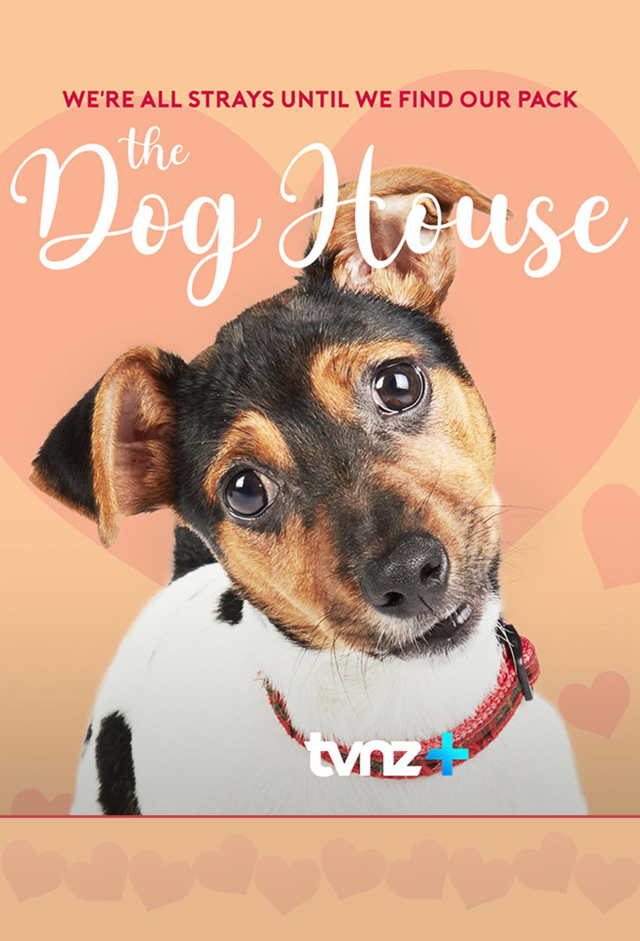 The Dog House NZ affisch