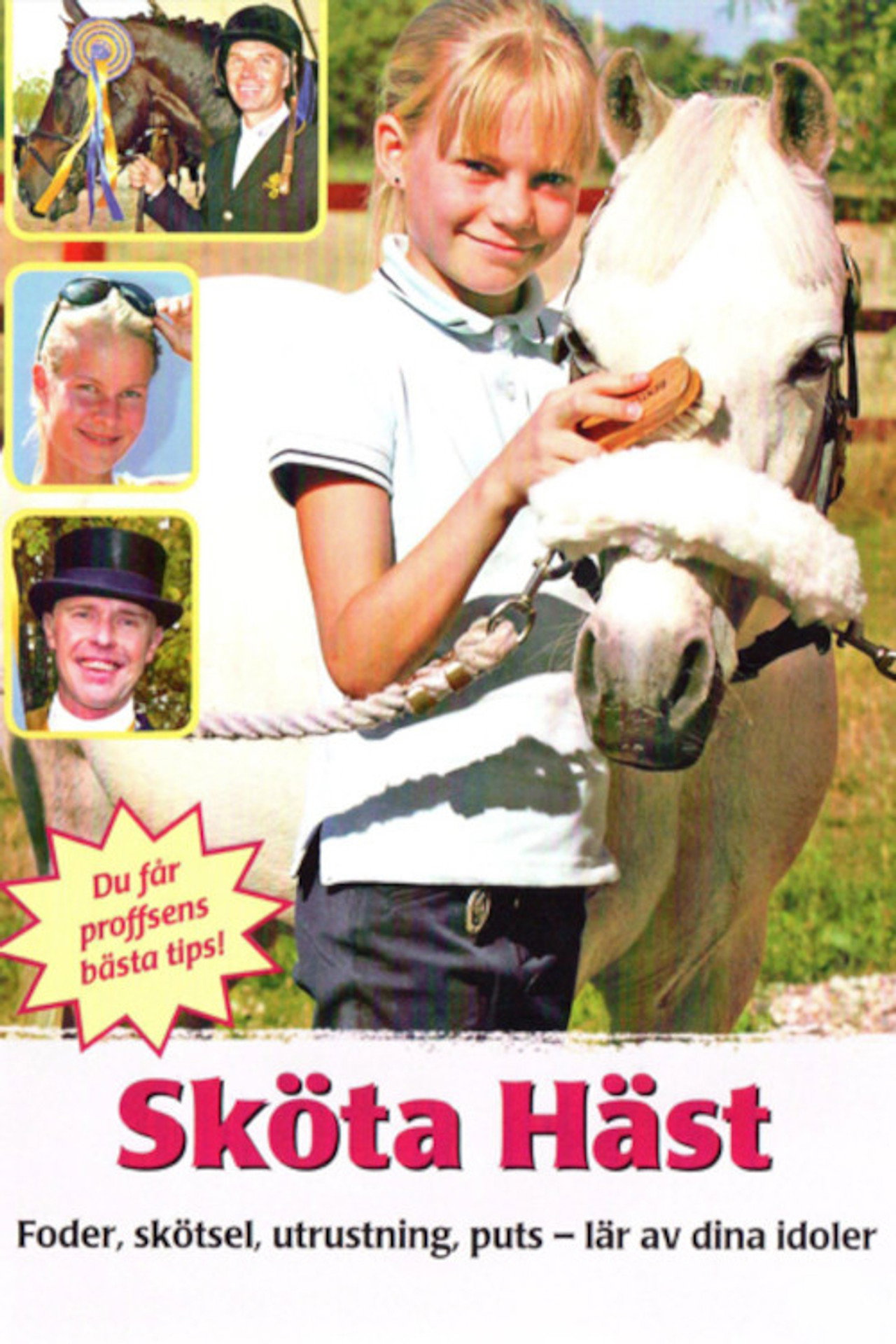 Sköta häst Backdrop