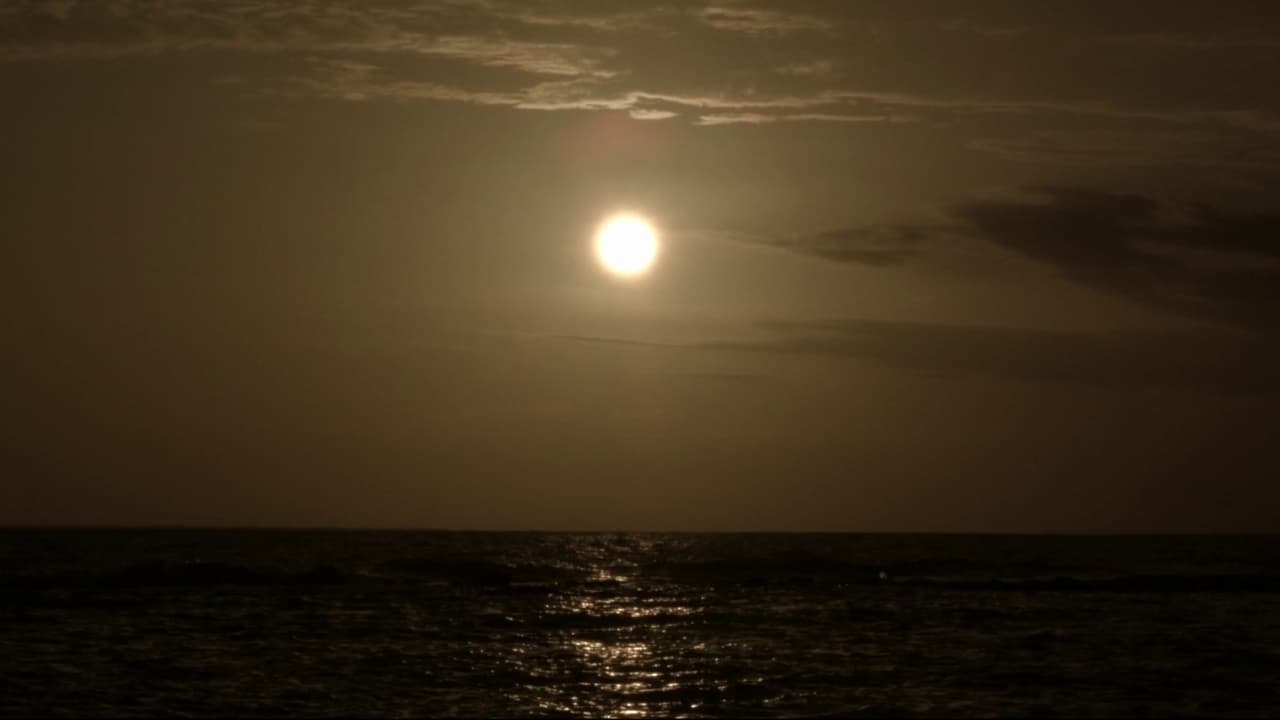 The Sea is History Backdrop Image