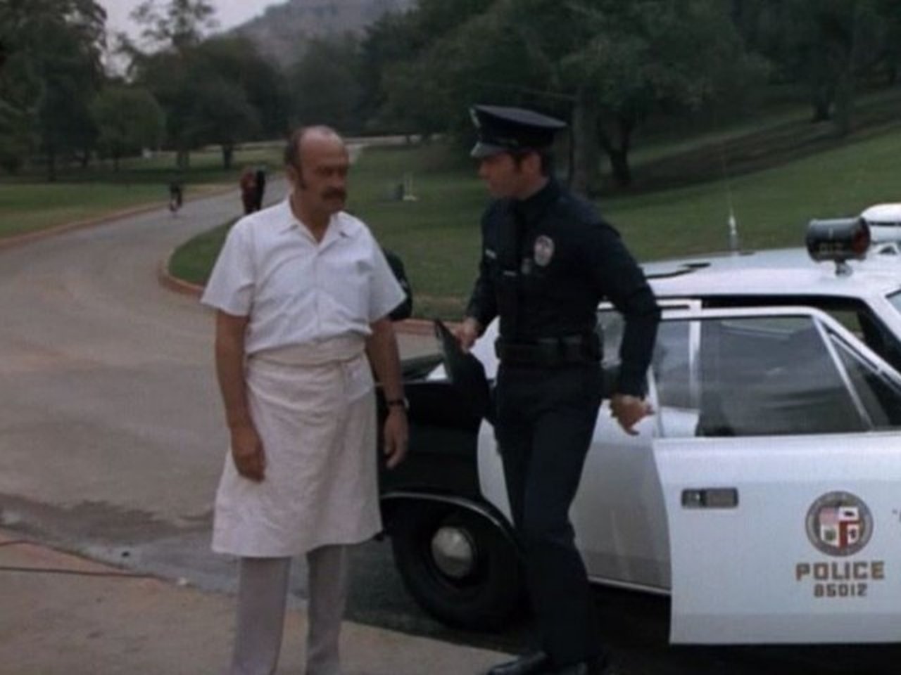 Adam-12 - Season 5 Episode 11 : Hot Spell