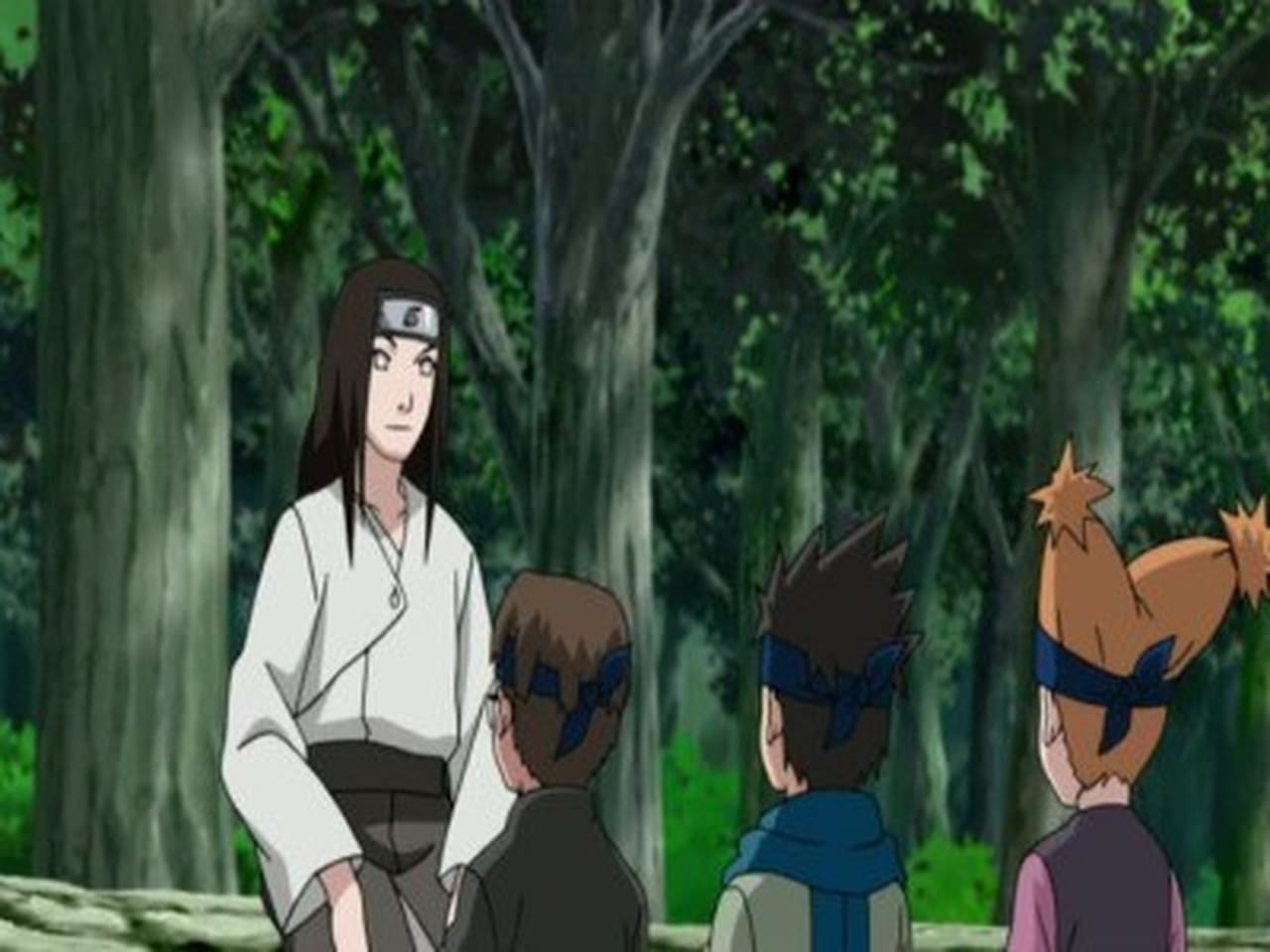 Naruto Shippūden - Season 9 Episode 192 : Neji Chronicles