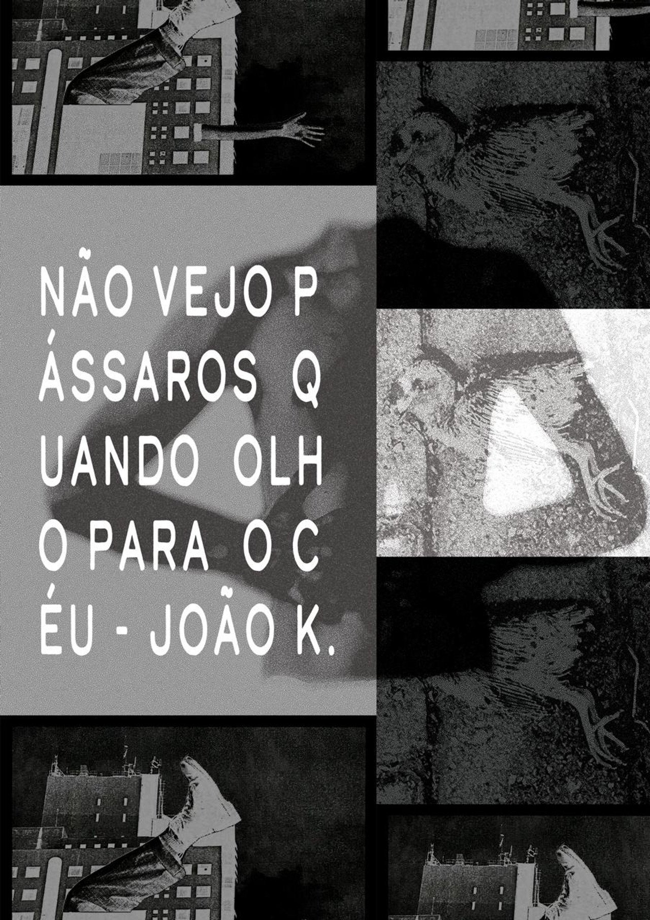 Não vejo pássaros quando olho para o céu filmaffisch