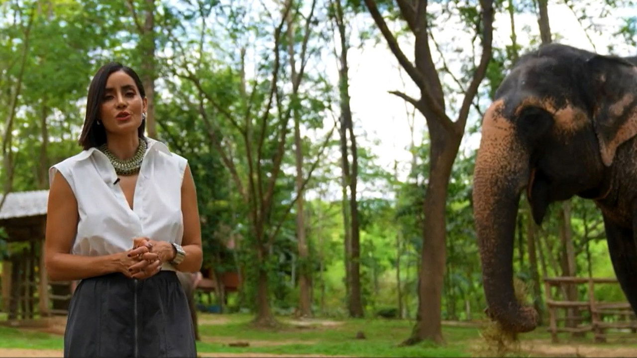 Abandonados, Asia: La Ruta del Dragón — Épisode 6