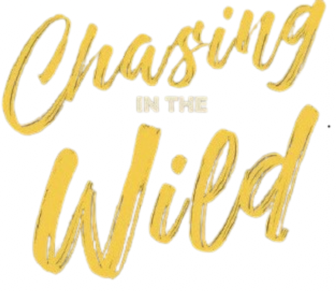 Chasing in the Wild