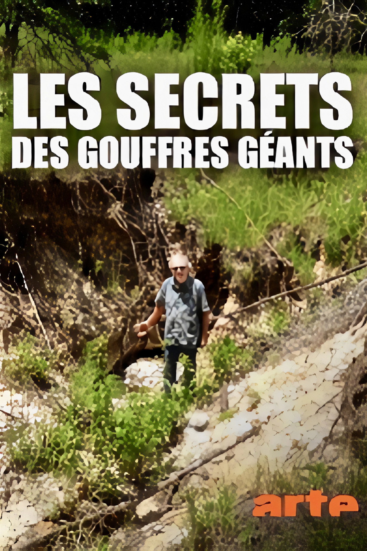 Les secrets des gouffres géants filmaffisch