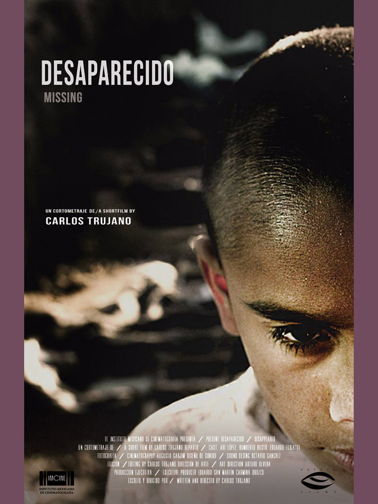 Desaparecido filmaffisch