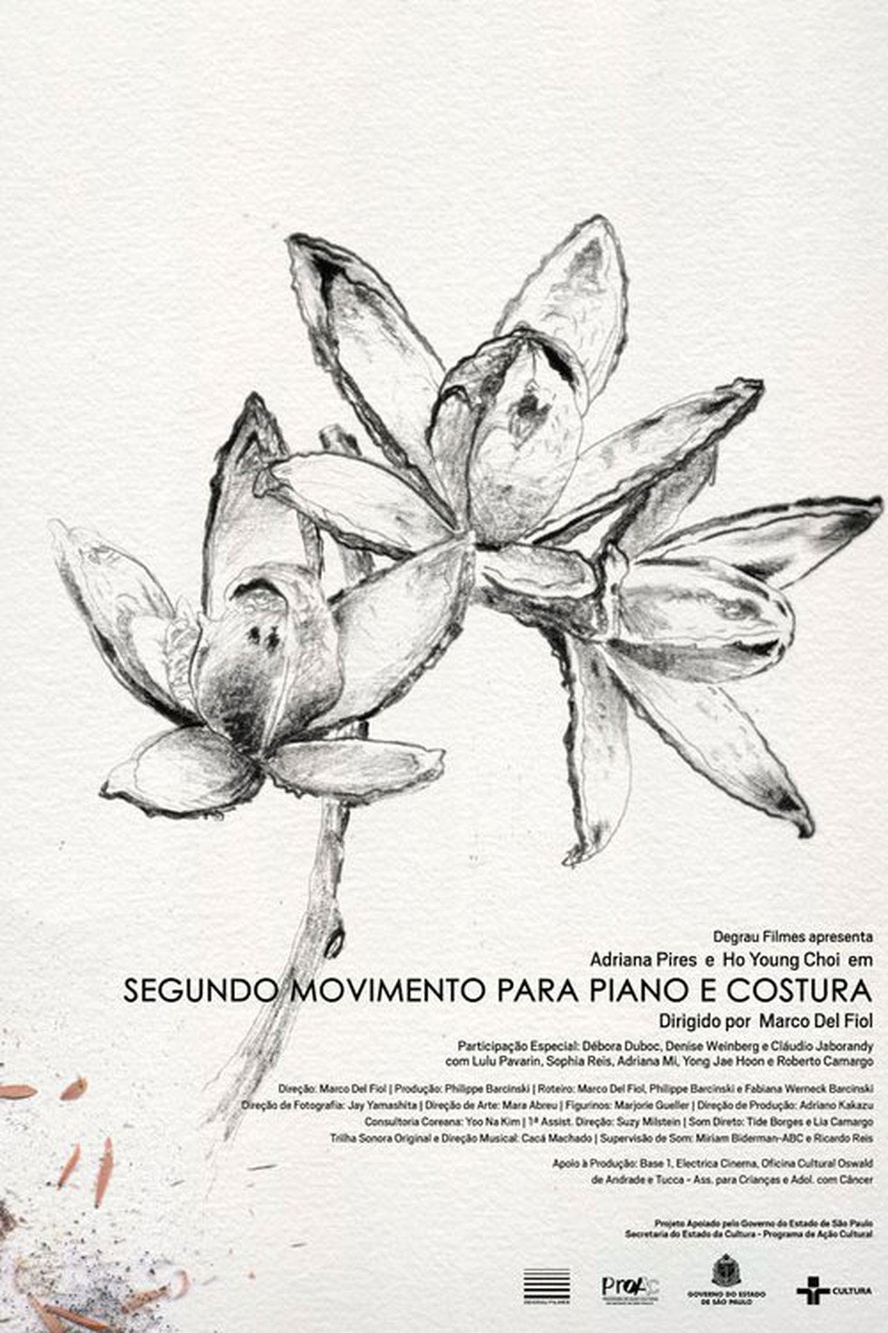 مشاهدة فيلم Second Movement for Piano and Needlework مترجم بدون اعلانات - بوستر